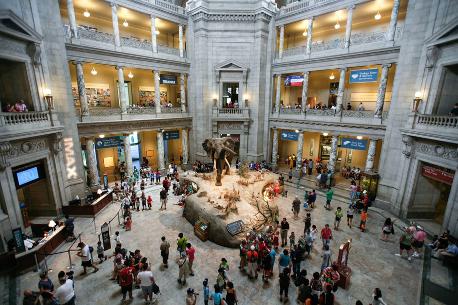 Interior do Museu Nacional de História Natural, nos EUA.