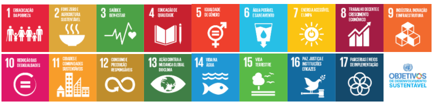 ONU, Os 17 ODS da Agenda 2030